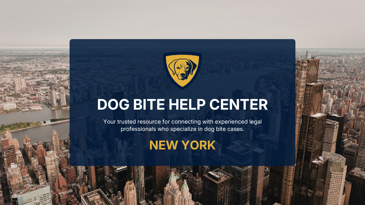 What To Do After a Dog Bite in New York