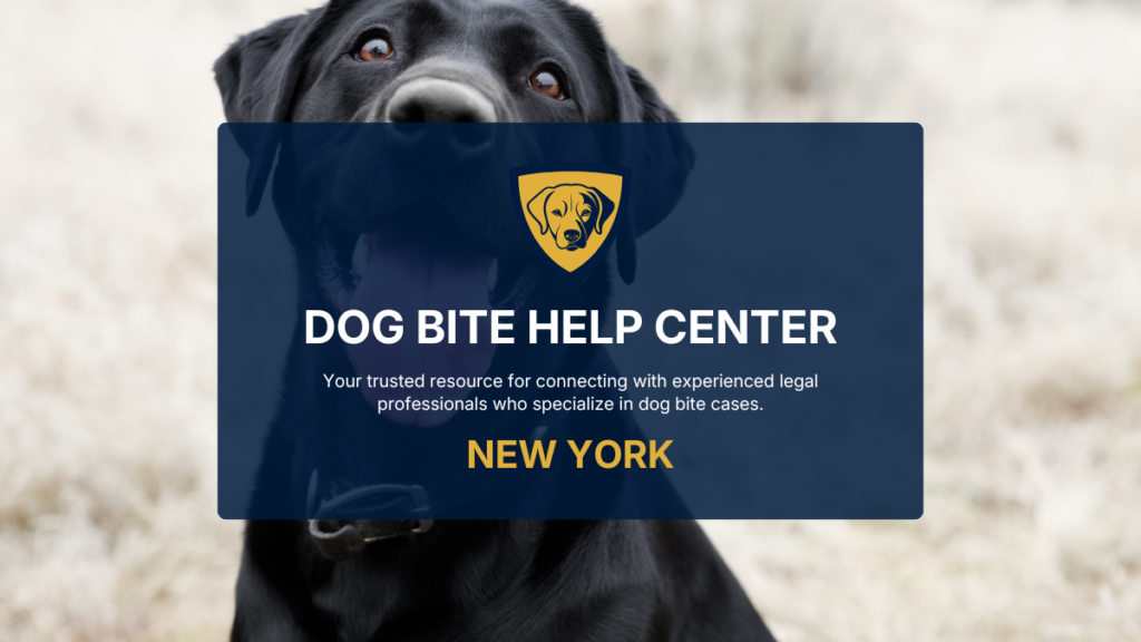 New Jersey Dog Bite Help Center in New York