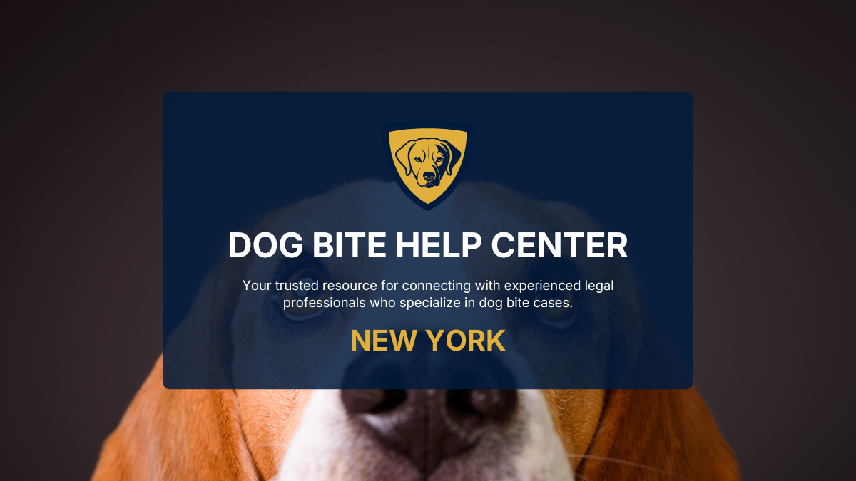 What Compensation Can You Recover After a Dog Bite in New York?