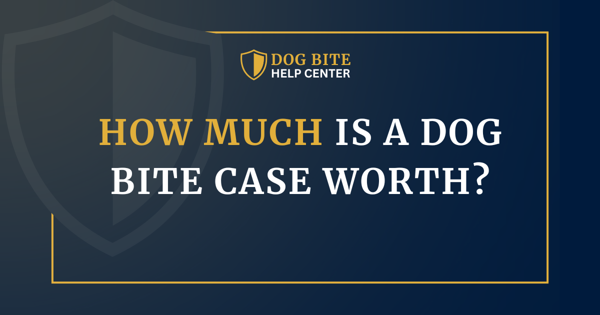 How Much Is a Dog Bite Case Worth?