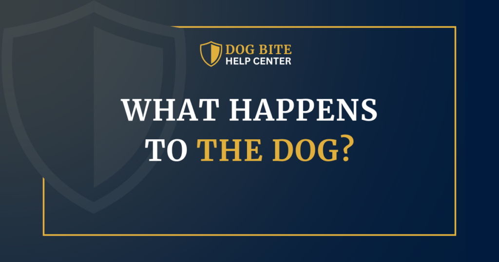 Dog Bite Help Center graphic asking what happens to a dog after it bites someone.